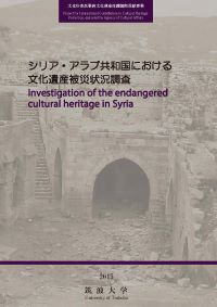 Investigation of the endangered cultural heritage in Syria